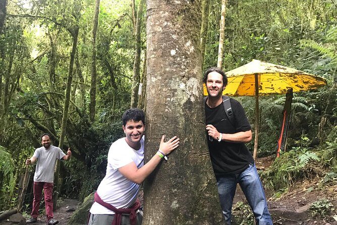 Colombia’s Tallest Waterfalls: La Chorrera Hike - Getting back to Bogotá: the ride home after you’ve earned it