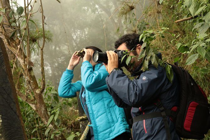 Day Trip to Chicaque National Park—from Bogota - Why This Chicaque Day Trip Works So Well