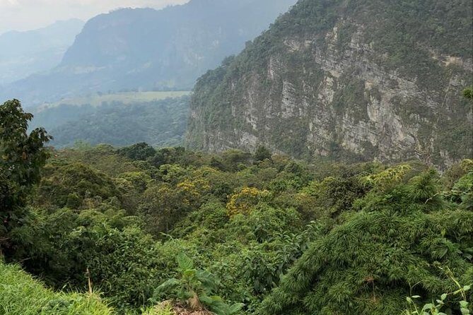 Day Trip to Chicaque National Park—from Bogota - Key Highlights You’ll Notice Fast
