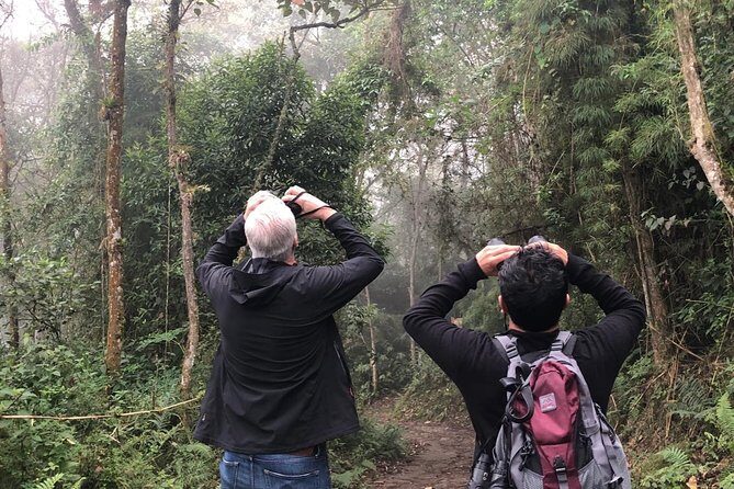Day Trip to Chicaque National Park—from Bogota - Stop 1 in Chicaque: First Trail Time and a Guide’s Wildlife Focus