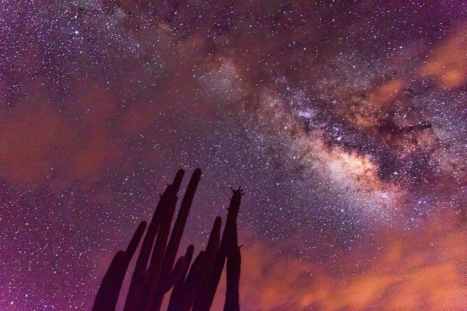 Desierto de la Tatacoa: paisajes y observación de estrellas. - Key Points to Know Before You Go