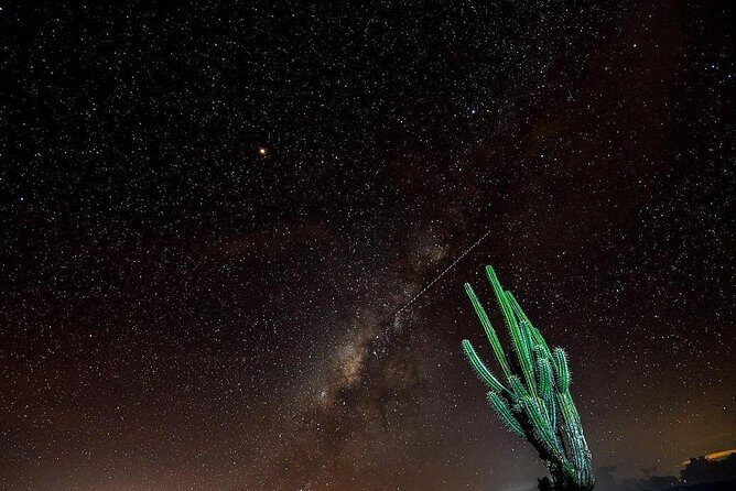 Desierto de la Tatacoa: paisajes y observación de estrellas. - Day Two in Villavieja: Town Walk Plus Magdalena River Time