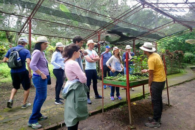 Exclusive Coffee Experience:Tour from Bogotá - Price and value: what $140 really buys you