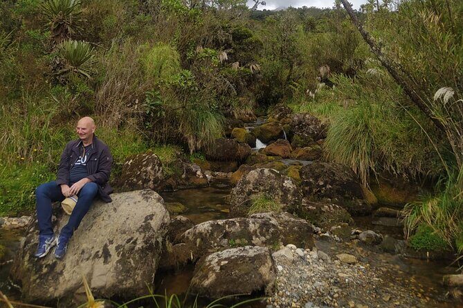 Explore Chingaza Natural Park: A Scenic Adventure from Bogotá - Bogotá to Chingaza: a simple day trip that feels like a real change of pace