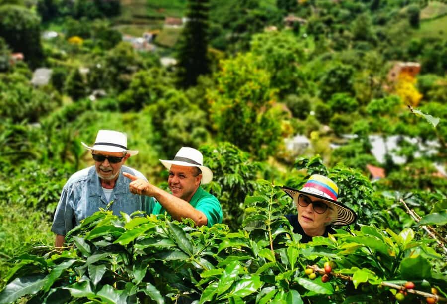 From Bogota: 5 hour guided coffe farm tour - All included - Bogotá to Ubaque: the ride that sets the tone