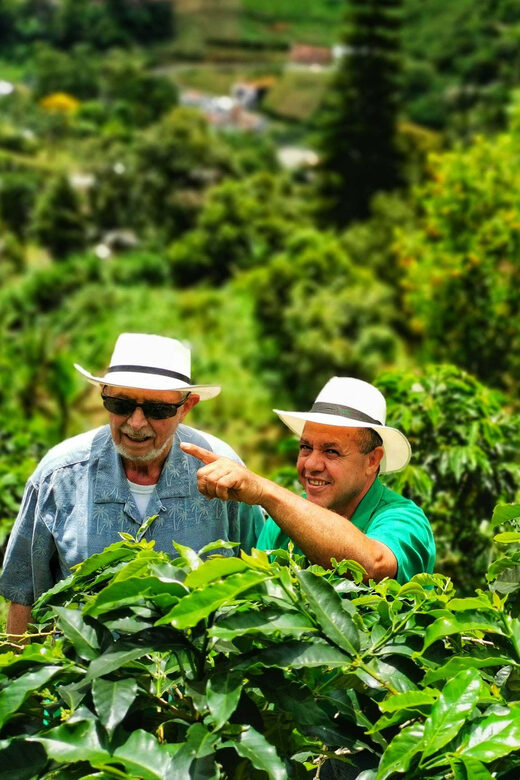 From Bogota: 5 hour guided coffe farm tour - All included - From planting to harvest: what you’ll learn on the ground