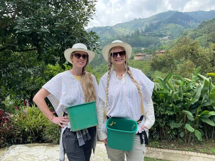 From Bogota: 5 hour guided coffe farm tour - All included - Coffee tasting and preparation workshop: from beans to cup