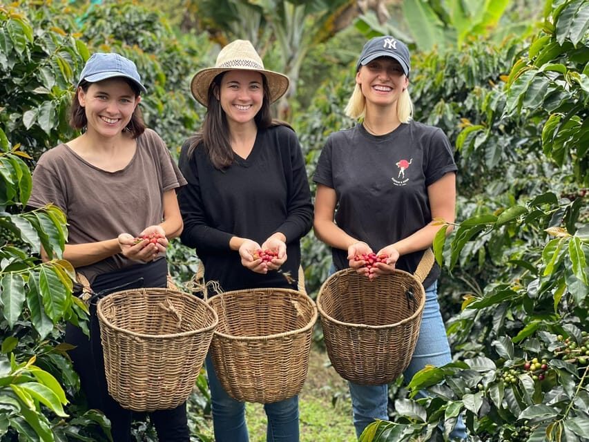 From Bogota: 5 hour guided coffe farm tour - All included - Lunch in Ubaque: the break that feels like part of the culture