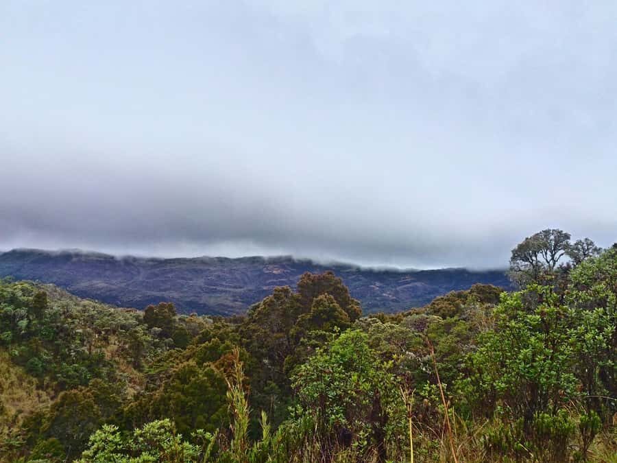 From Bogotá: Chingaza National Park Eco Tour - Chingaza’s Rincón del Oso Trail: where the air changes