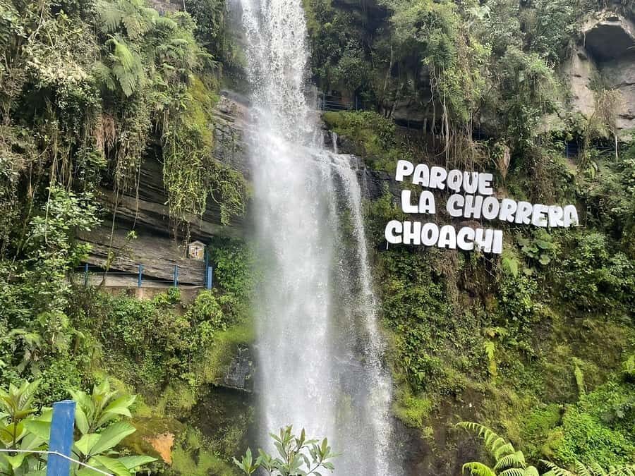 From Bogotá: Chingaza National Park Eco Tour - The walk itself: pace, timing, and why traction beats style