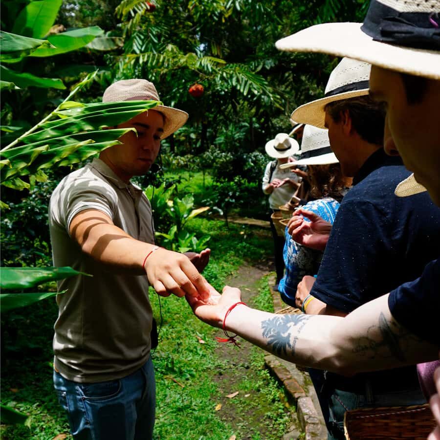 From Bogotá: Coffee Farm and Tequendama Falls Tour - Key highlights you’ll care about