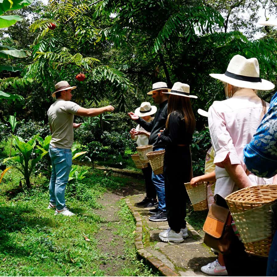 From Bogotá: Coffee Farm and Tequendama Falls Tour - Coffee farm + Tequendama Falls: why this combo makes sense from Bogotá