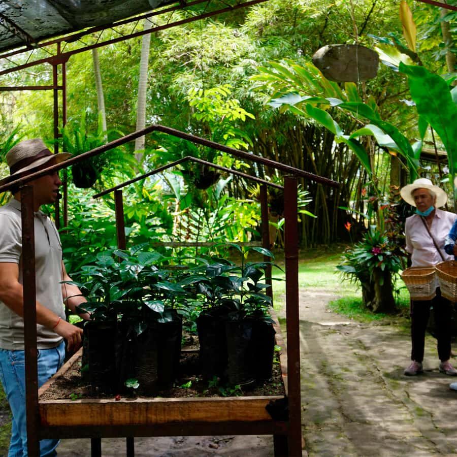 From Bogotá: Coffee Farm and Tequendama Falls Tour - Tequendama Falls on the Bogotá River: what you’ll see and how weather changes it