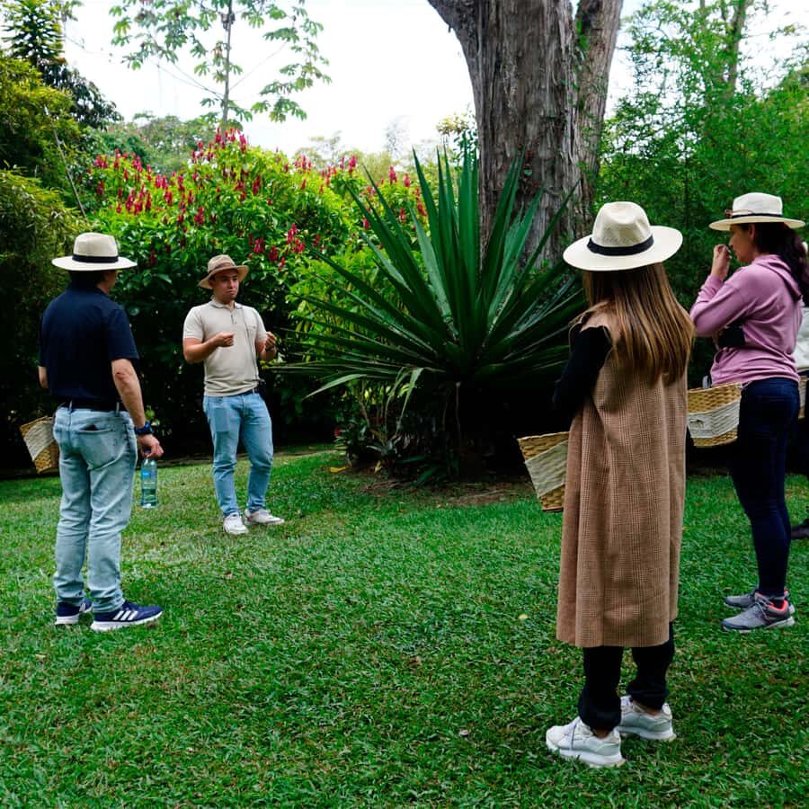 From Bogotá: Coffee Farm and Tequendama Falls Tour - Coffee liquor tasting: the fun finish that ties the day together