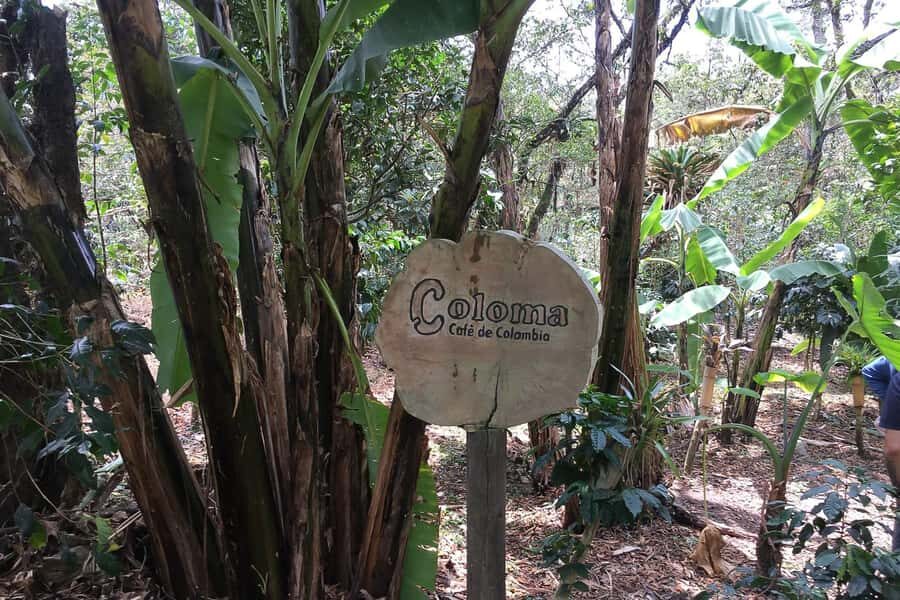 From Bogotá: Coffee Farm Experience Private Day Tour - Key Highlights Worth Your Time