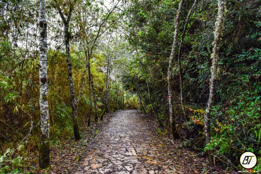 From Bogota: Guatavita Lake & Zipaquira Salt Cathedral Tour - What to Bring (So the Day Doesn’t Beat You)