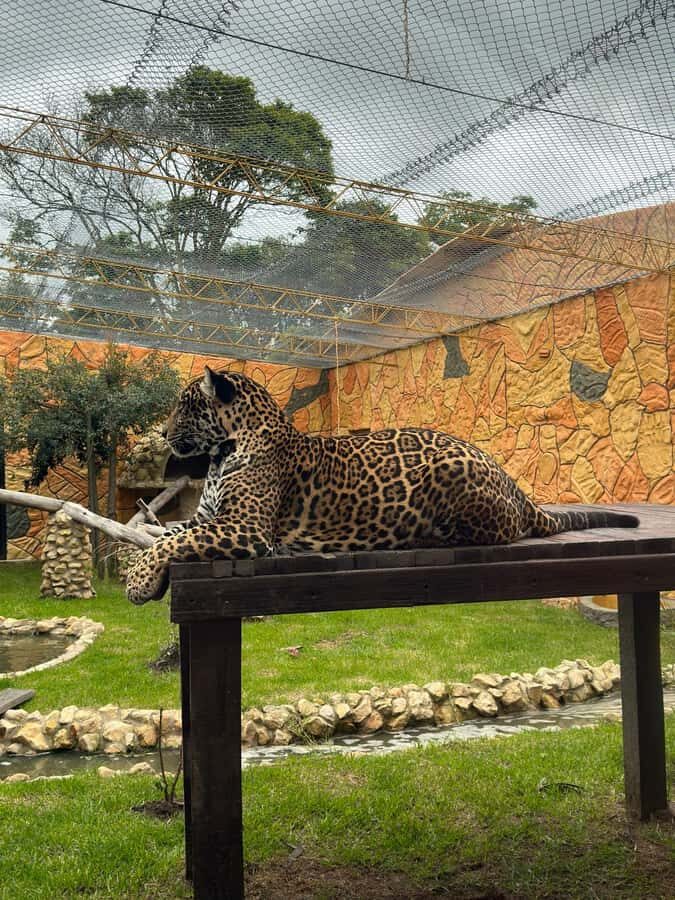 From Bogota: Jaime Duque Park and zoo with ticket included - A Private 6-Hour Bogotá-to-Jaime Duque Day That Actually Feels Managed
