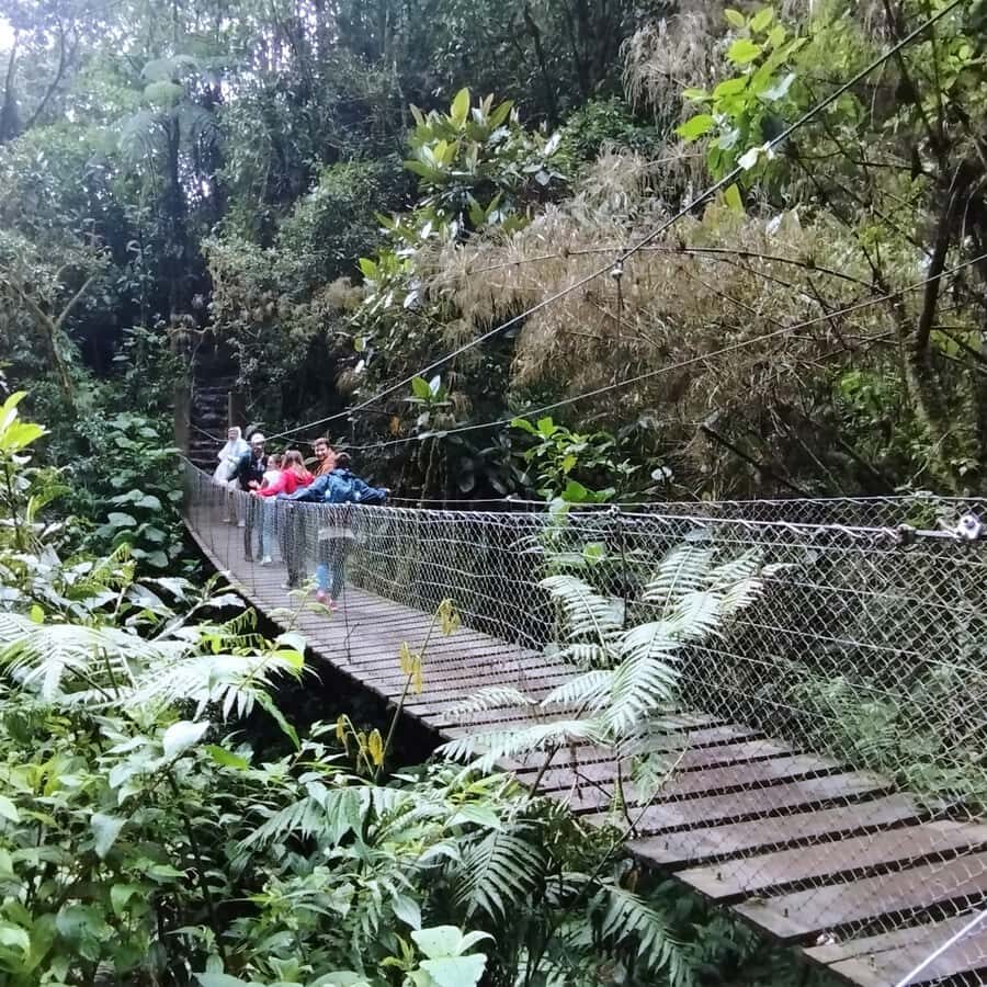 From Bogota: La Chorrera Waterfall Guided Hike - The real route: what the ecological walk feels like