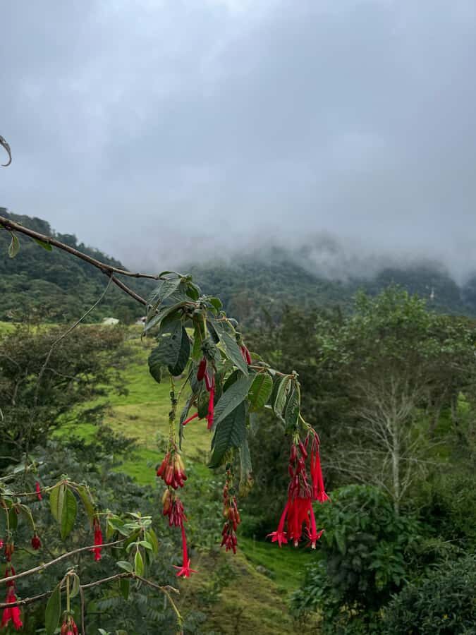 FROM BOGOTA: Tour to La Chorrera, Colombia's highest waterfall. - Key highlights worth planning around