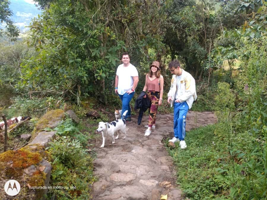 From Bogotá: Tour to the Waterfall of La Chorrera - Getting there from Bogotá: the van time you’re really paying for