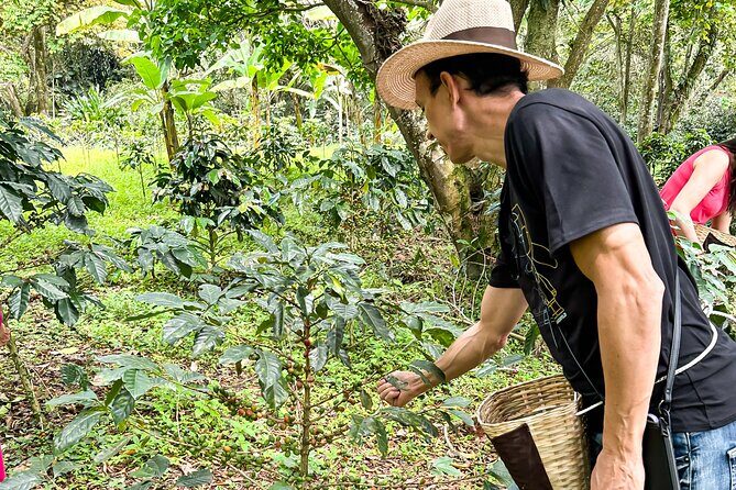 Full Day learning about the Process of the Best Coffee in the World - Back to Bogotá: Smooth Finish, Same Meeting Point