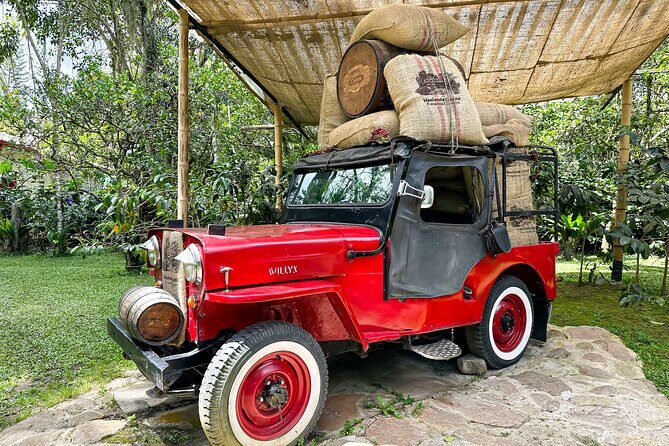 Full Day learning about the Process of the Best Coffee in the World - Private Transportation and Group Size: Why This Tour Feels Manageable