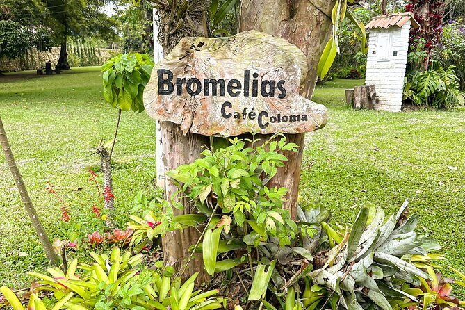 Full Day learning about the Process of the Best Coffee in the World - Who Should Book This Coffee Process Tour From Bogotá?