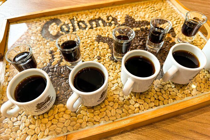 Full Day learning about the Process of the Best Coffee in the World - What to Expect During the 4 Hours at the Farm