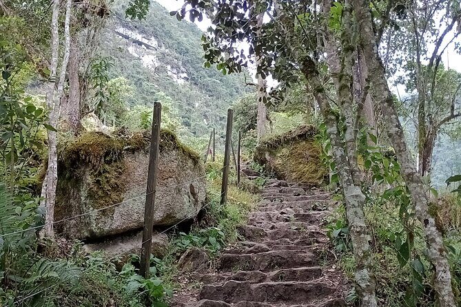 Full-Day Private Tour to La Chorrera Waterfall and El Chiflón - Lunch and pacing: where the day’s energy gets managed