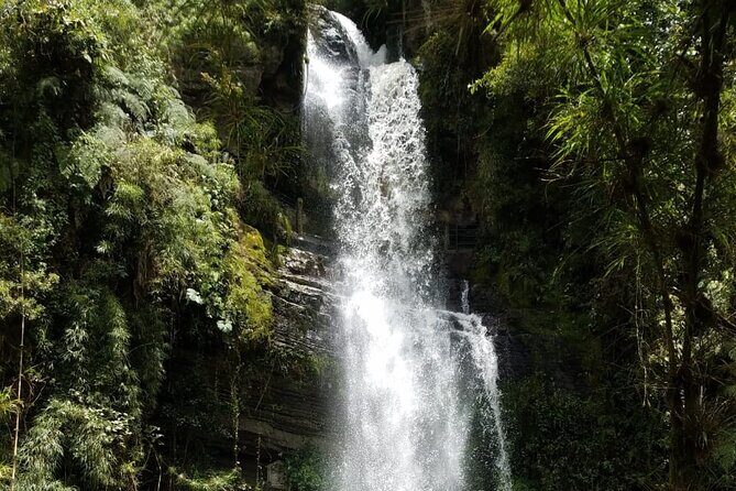 Full-Day Private Tour to La Chorrera Waterfall and El Chiflón - Private tour + English-led guidance: why it feels easier than you expect