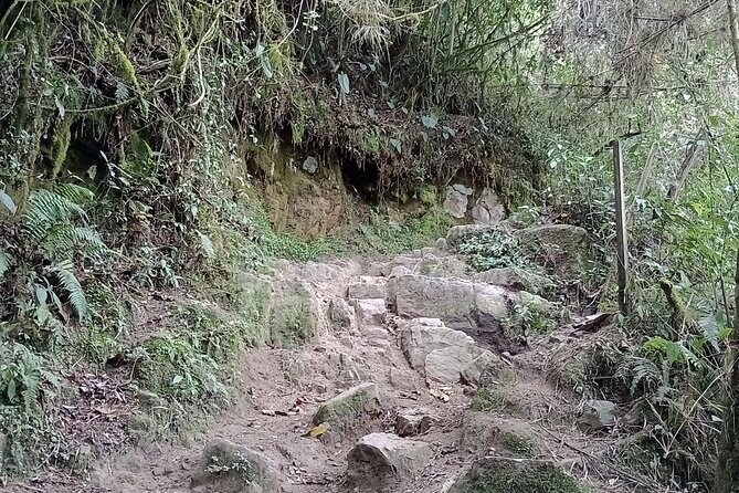 Full-Day Private Tour to La Chorrera Waterfall and El Chiflón - Price and value: what $169 buys you in the real world
