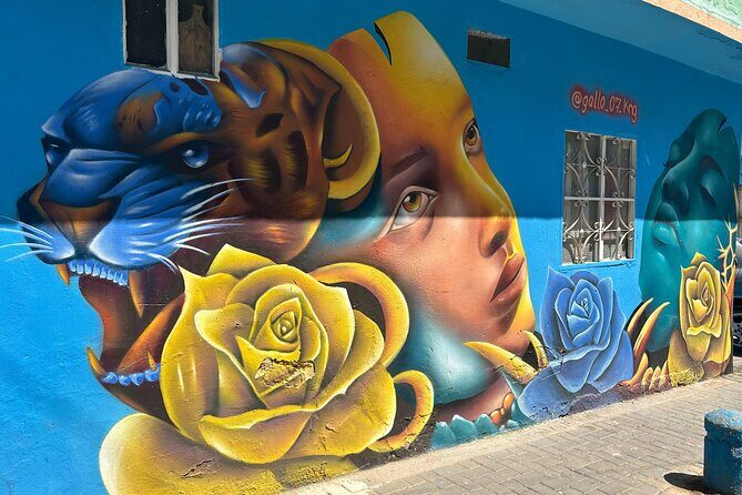 Graffiti tour in Ciudad Bolívar - Key points before you go