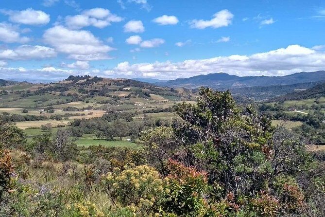 Guatavita Lake & Salt Cathedral Tour. - Who This Tour Fits Best (and Who Might Prefer a Different Plan)