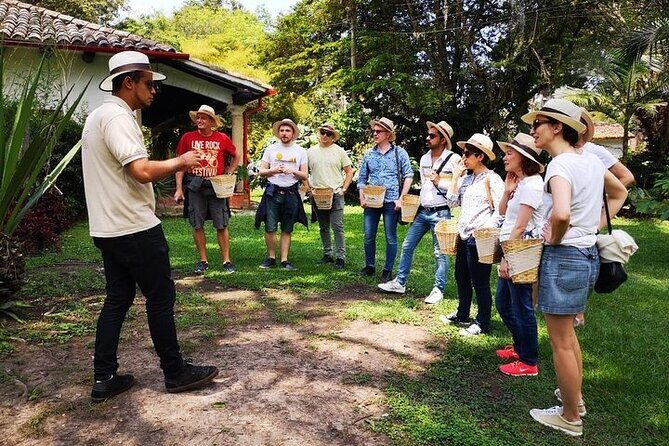 Hands-On Tour to Coffee Plantation from Bogota Option basic - Key things to know before you go