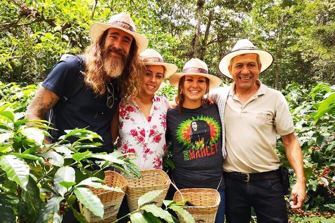 Hands-On Tour to Coffee Plantation from Bogota Option basic - Guides, translation quality, and small-group comfort