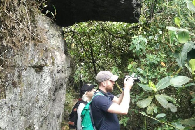 Hiking High Andean Forests - Practical Tips to Make the Day Feel Smooth