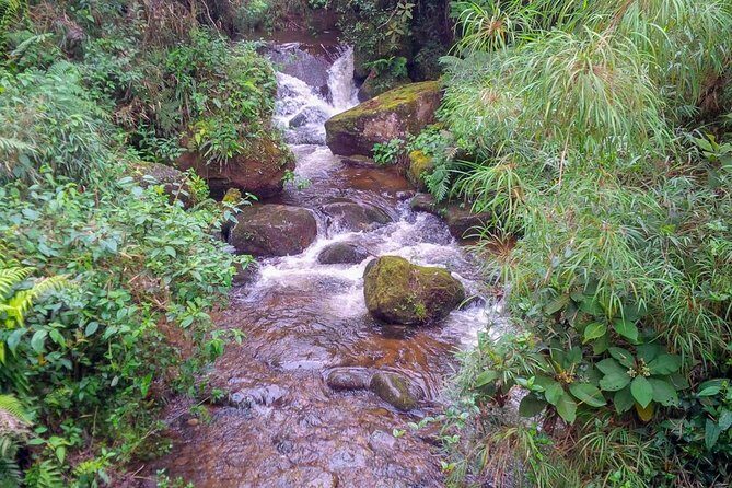 Hiking tour to the tallest waterfall in Colombia - El Chiflón: the wet, loud moment you’ll remember