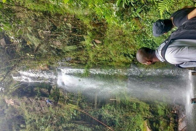 Hiking tour to the tallest waterfall in Colombia - The native forest stretch: 1.5 kilometers that keeps you grounded