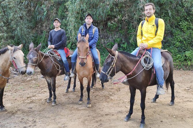 Horseback Riding from Guadalupe to Monserrate Private Day-Tour - Horseback from Guadalupe to Monserrate: the big idea