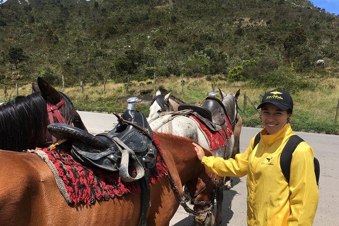Horseback Riding from Guadalupe to Monserrate Private Day-Tour - Cerros Orientales first: views, timing, and the Guadalupe start
