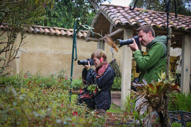 Hummingbird Birdwatching Encounter - Half Day - The Birds You Can Hope to See (and Why the Numbers Matter)