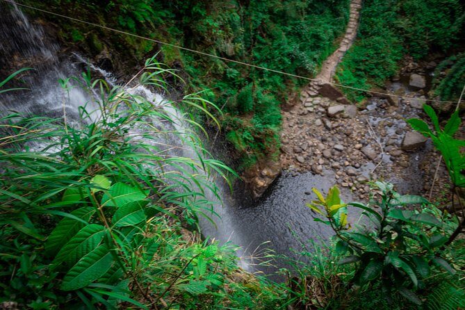 La Chorrera and Chiflon Waterfalls Private Hike Tour - El Chiflón leg: cloud-forest trails and the first waterfall payoff