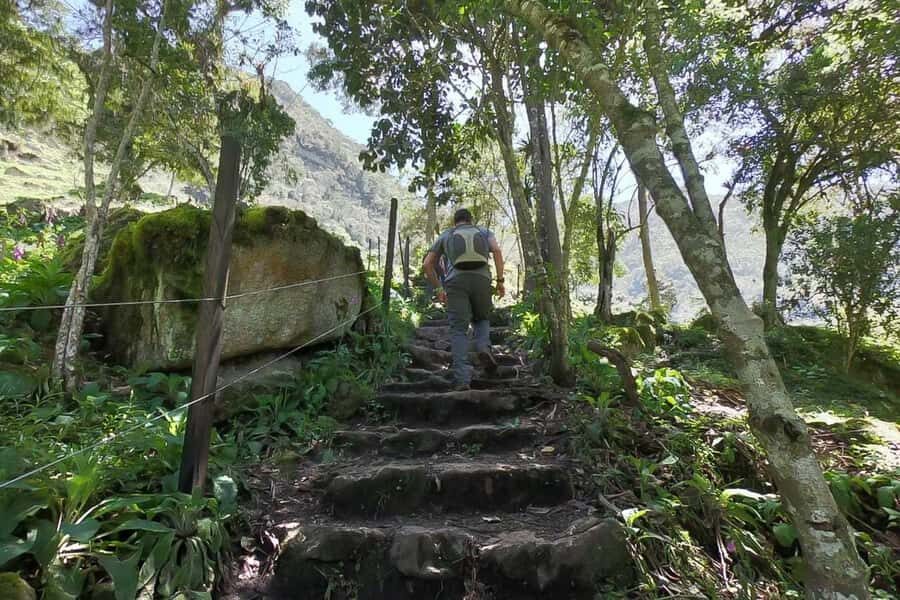 La Chorrera and Chiflon Waterfalls Private Hike Tour - The return to Choachí and local lunch options