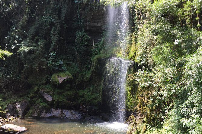 La Chorrera Waterfall - Unique countryside experience close to Bogotá - Entering the Fog Forest: Bromeliads, Orchids, and Misty Mountain Air