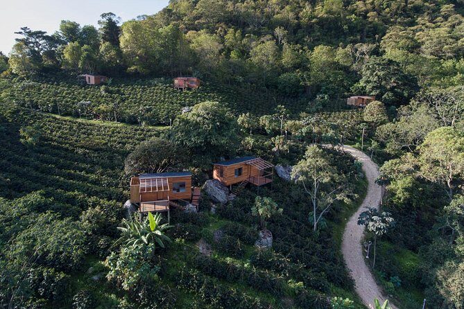Luxury Coffee Plantation Private Tour (9 Hrs.) - Key highlights you’ll actually care about