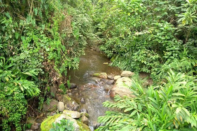 Luxury Coffee Plantation Private Tour (9 Hrs.) - The small things that can affect your day (and how to handle them)