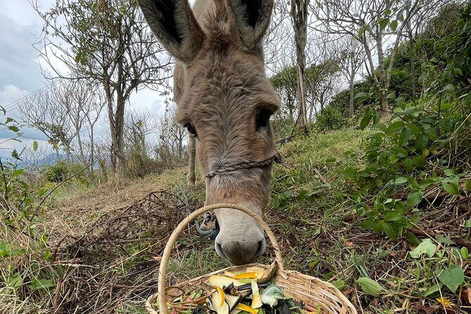 Private Day of Immersion in Country Life with Food - The picnic lunch: eating what you made, without rushing