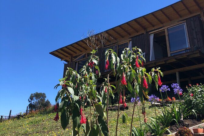 Private Day of Immersion in Country Life with Food - Carolina and Enrique: why the farm feels like home