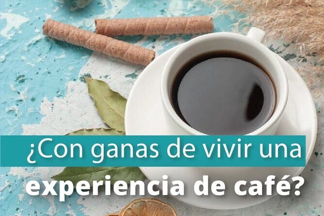 Private Guided Walking Tour and Coffee Workshop in Bogota - Bogotá’s coffee cafés become a classroom