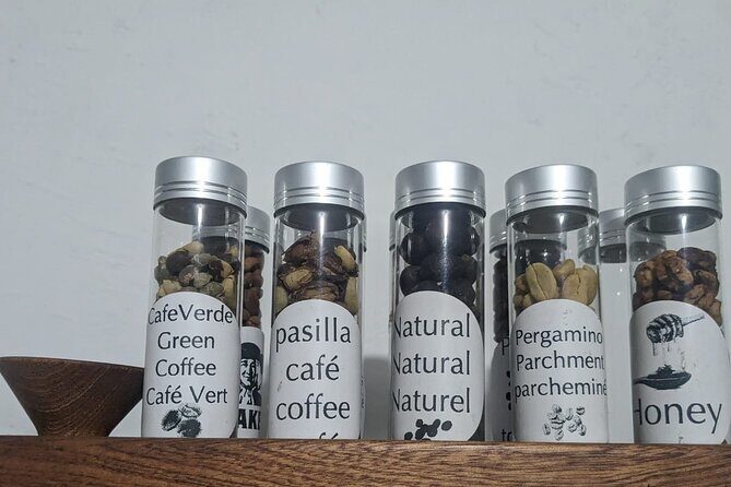 Private Guided Walking Tour and Coffee Workshop in Bogota - Stop 2 at Café 18 Rosales: processes, brewing comparisons, and baby coffee plants